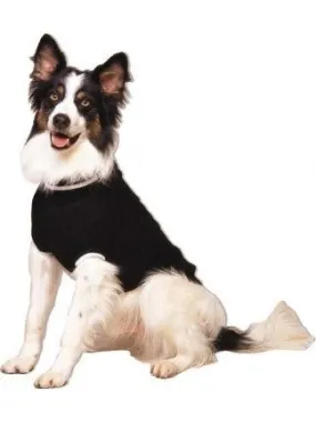 Fashion Pet Cable Sweaters SALE