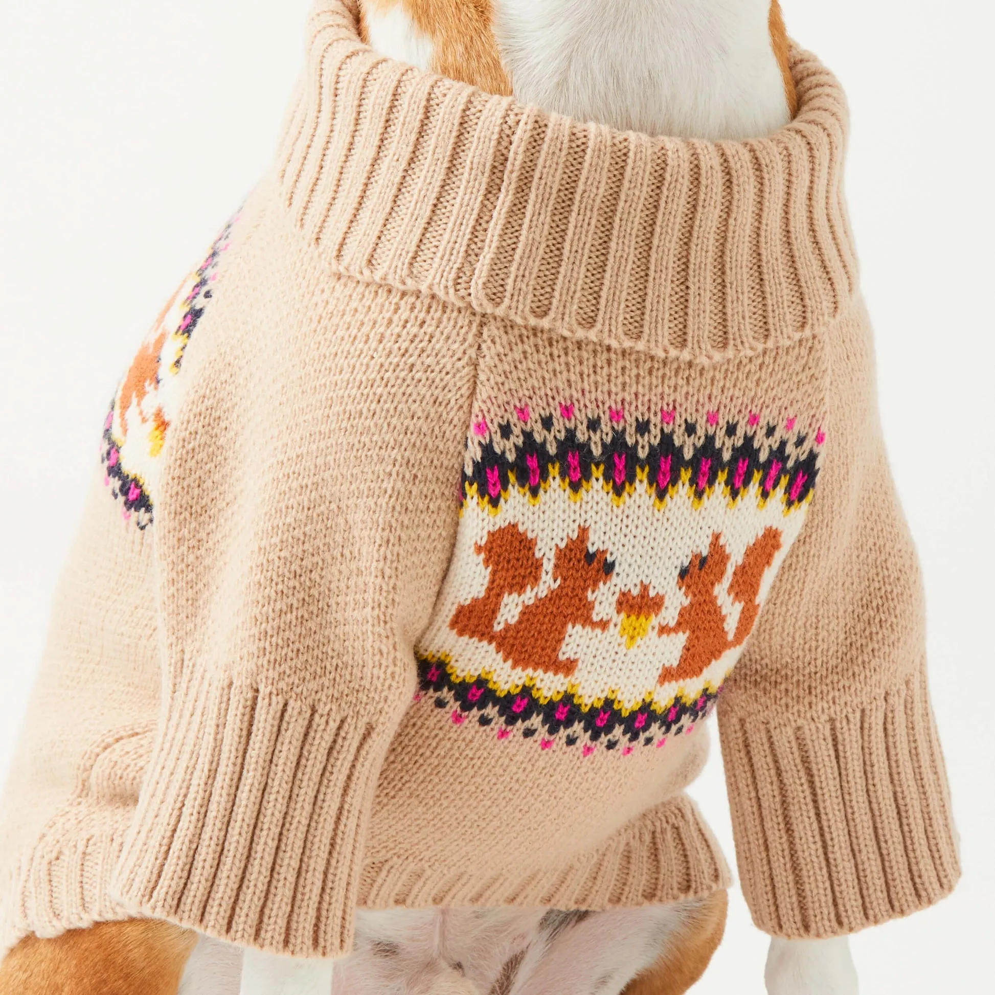 squirrel cable knit sweater