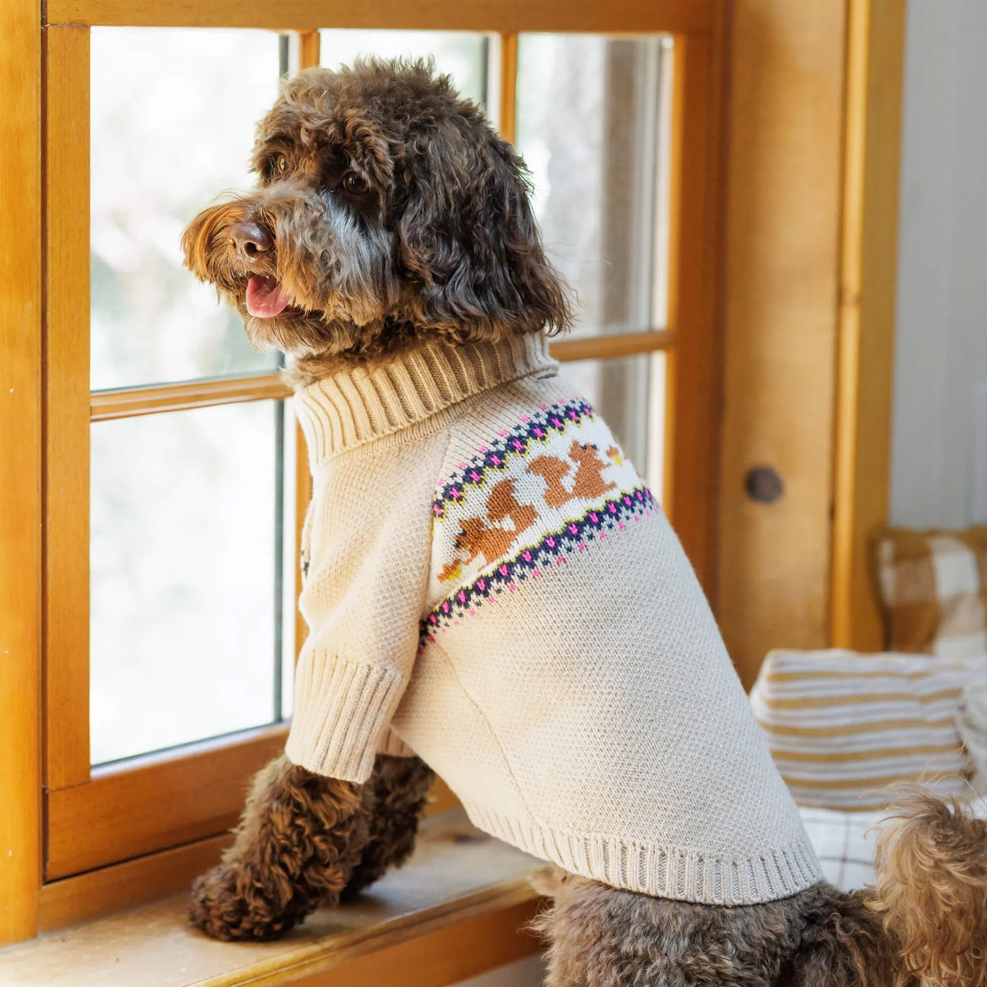 squirrel cable knit sweater